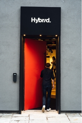 Hybrid door